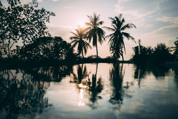 A secluded escape where privacy, nature, and comfort come together effortlessly.